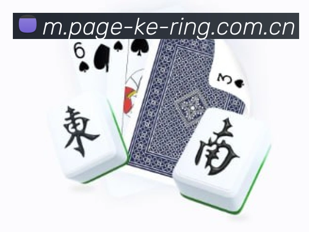 未来规划